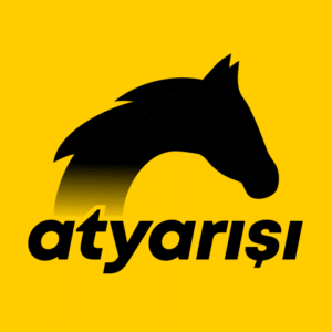 At Yarışı